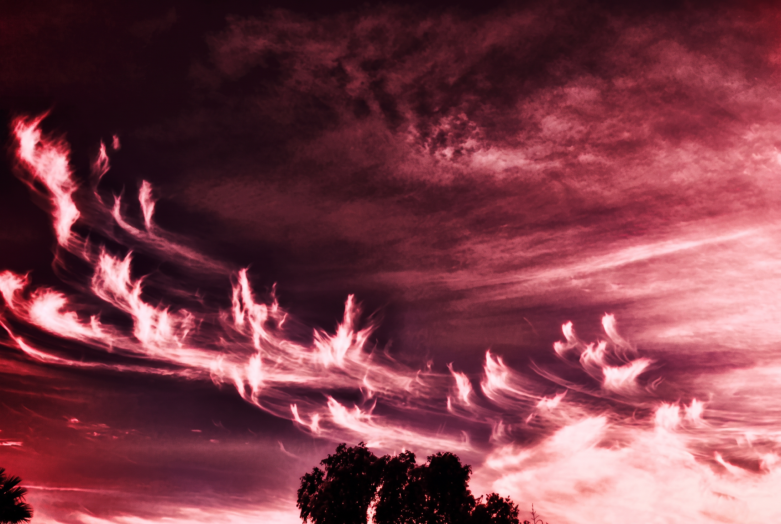 Feathered crimson cirrus clouds over a darkened horizon